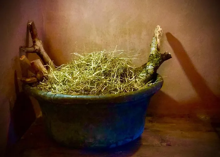 Le Macine Del Perino Bed & Breakfast