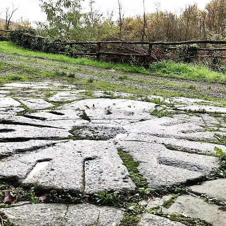 Le Macine Del Perino