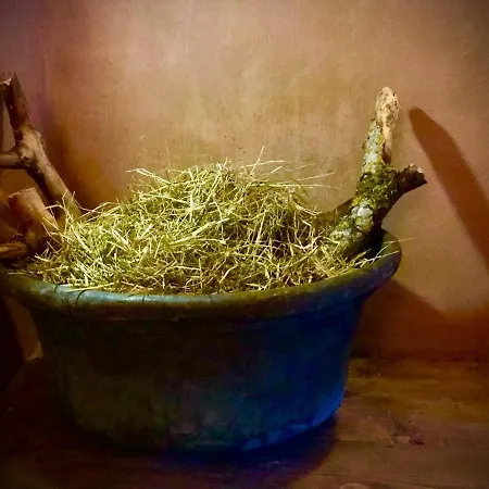 Le Macine Del Perino Bed and breakfast