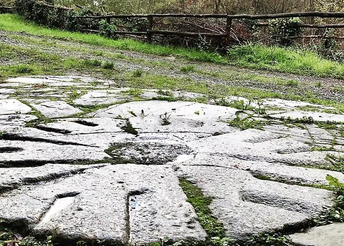 Le Macine Del Perino